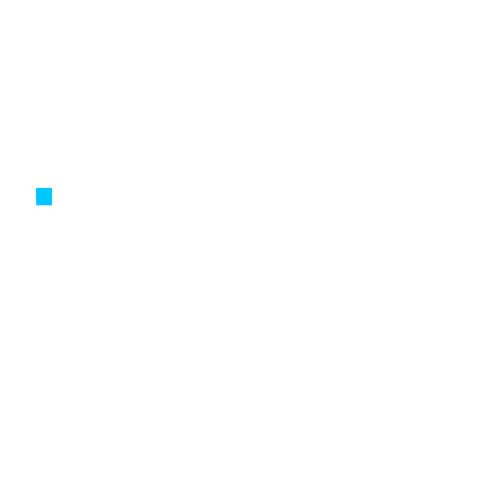  Intel-Store